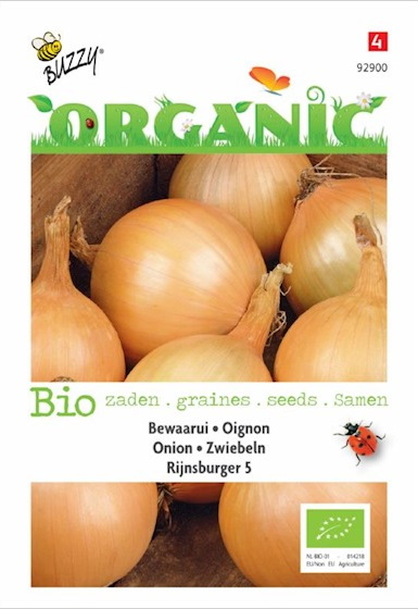 Onion Rijnsburger 5 Organic (Allium cepa) 250 seeds